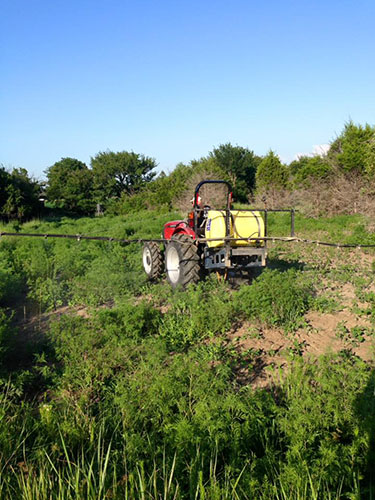 Spraying fields