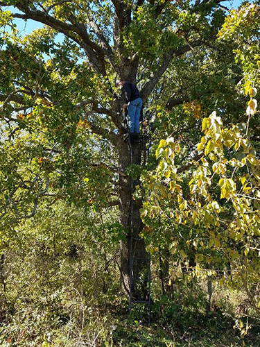 Tree stand