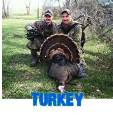 Turkey Hunting